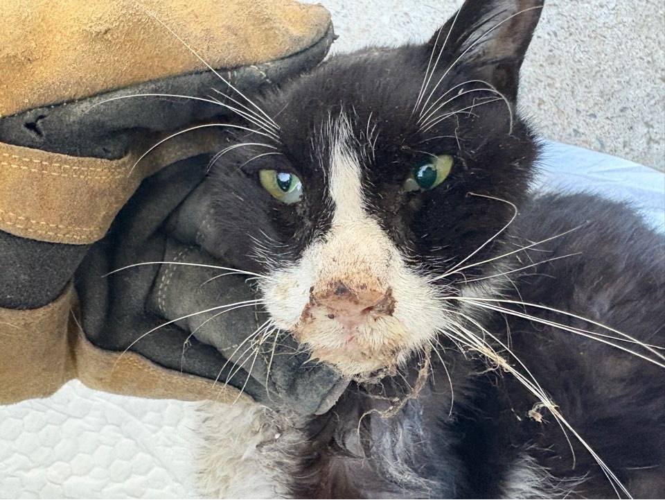 종료(자연사) 한국…